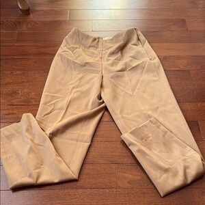 Talbots tan stretch pants in a size 2